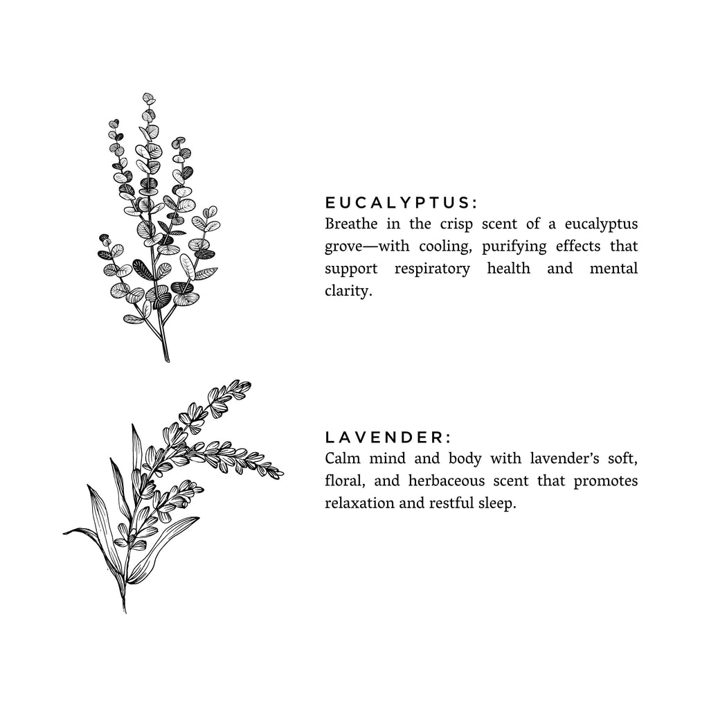 Slow North Eucalyptus + Lavender Soy Candle — Fresh & Floral