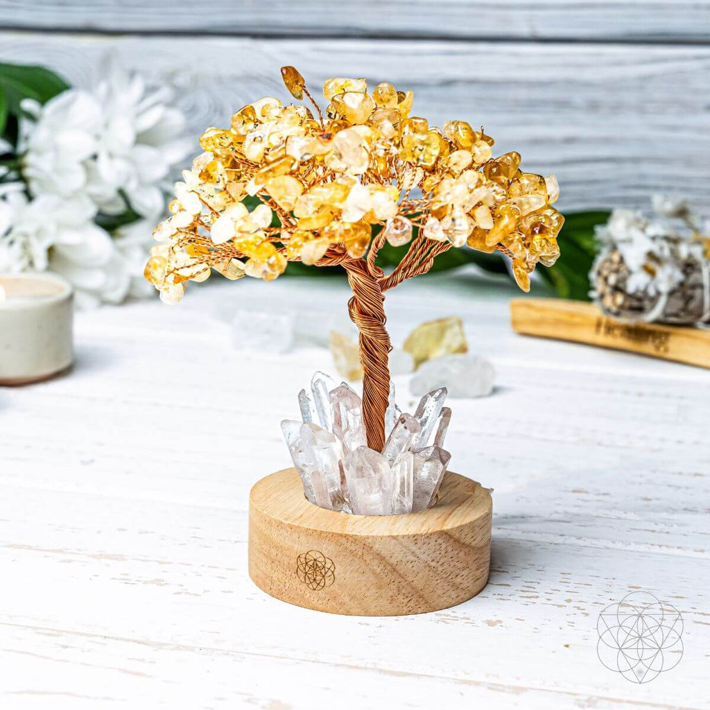 Citrine & Clear Quartz Crystal Tree Lamp — Natural Nightlight