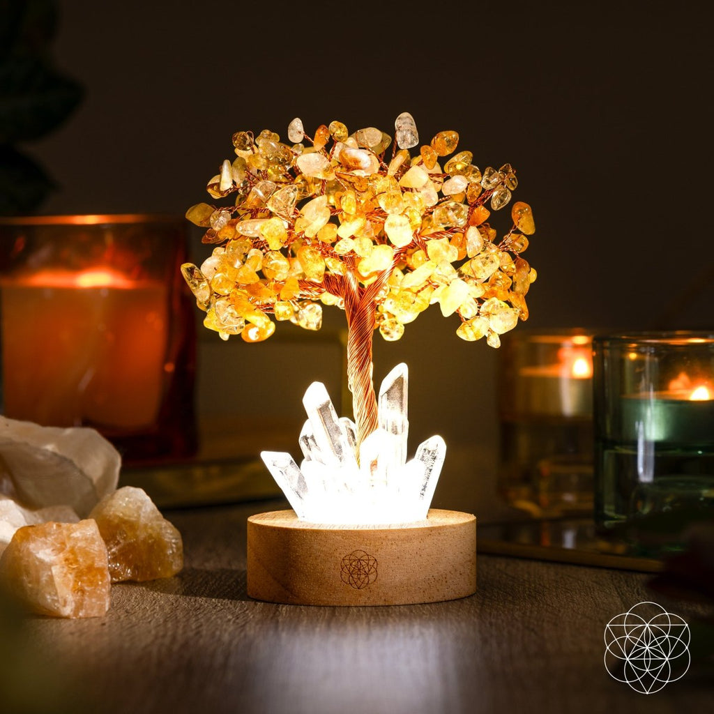 Citrine & Clear Quartz Crystal Tree Lamp — Natural Nightlight
